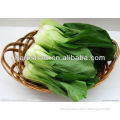 Hot And Cold Resistance Hybrid Green cabbage seeds